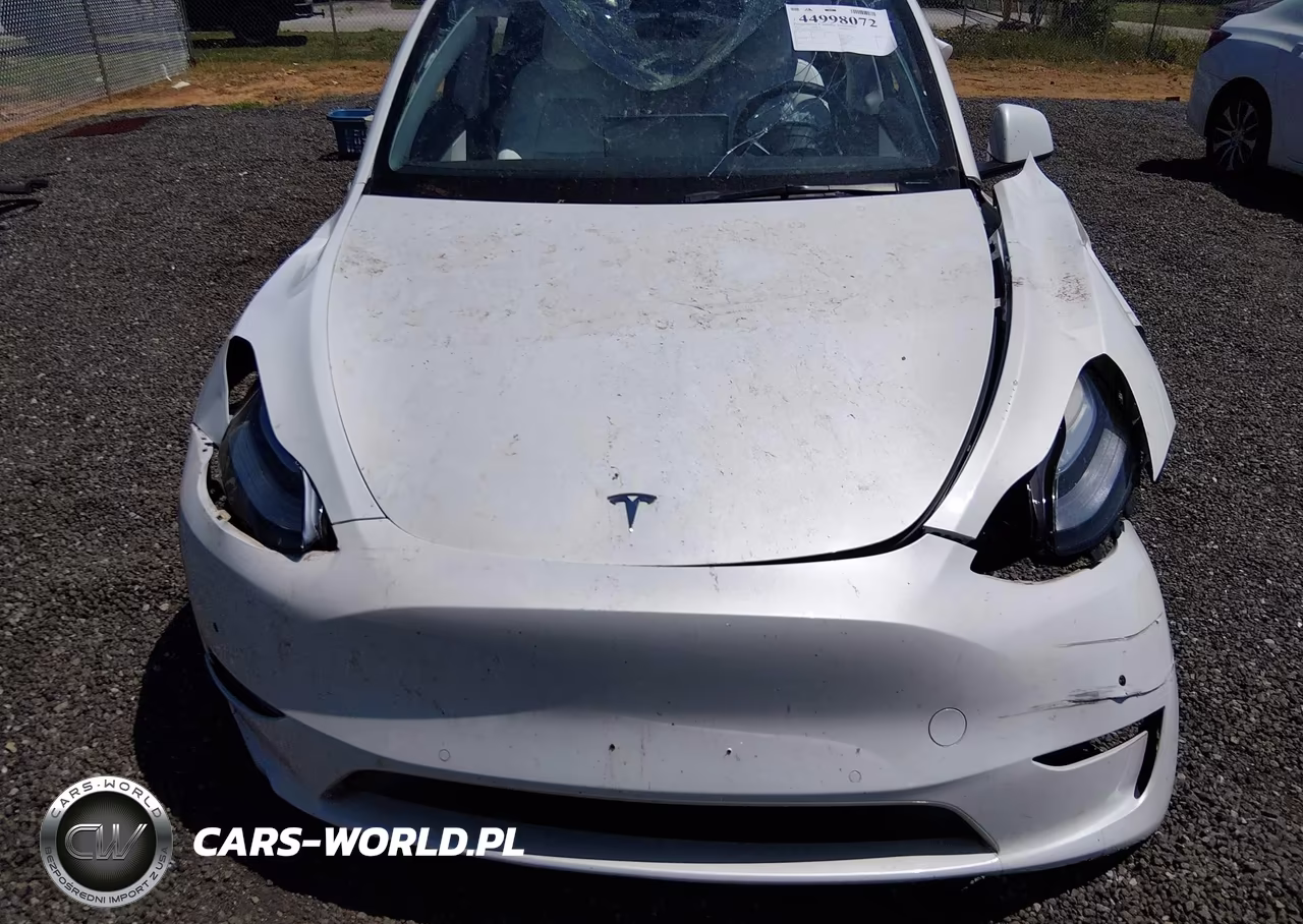 2022 Tesla Model Y Long Range Dual Motor All-Wheel Drive VIN:7SAYGDEE4NF320007 - 10