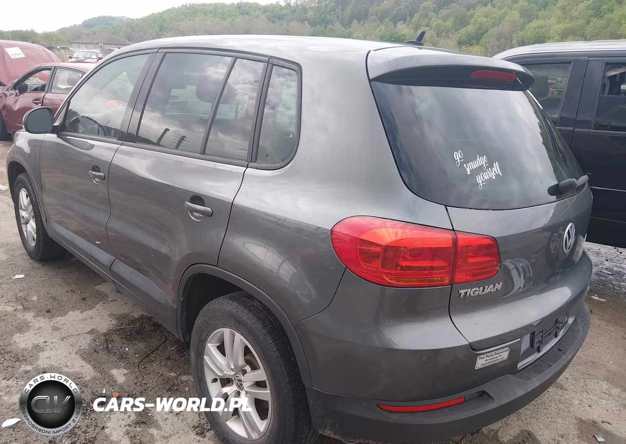 2013 Volkswagen Tiguan S VIN:WVGAV3AX7DW603402 - 3