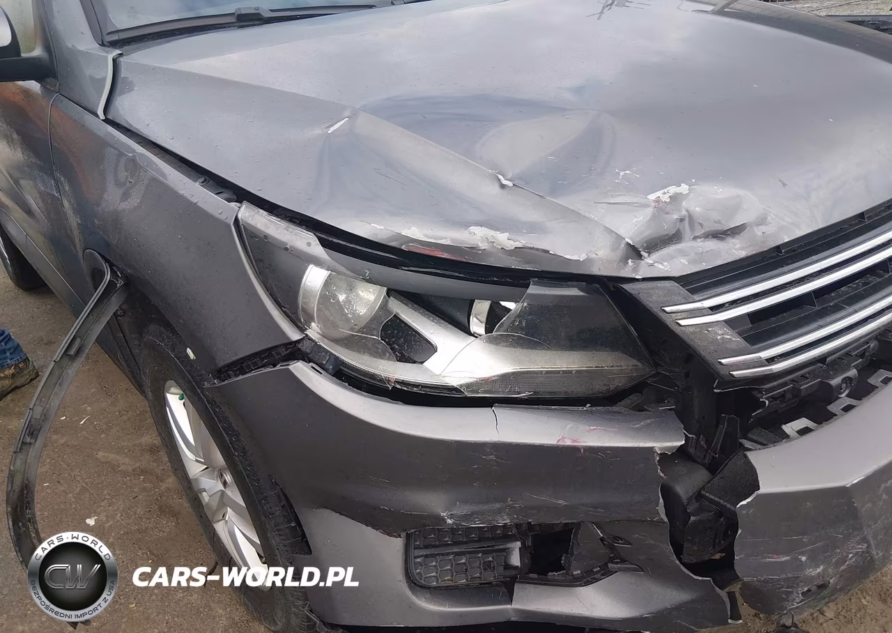2013 Volkswagen Tiguan S VIN:WVGAV3AX7DW603402 - 6