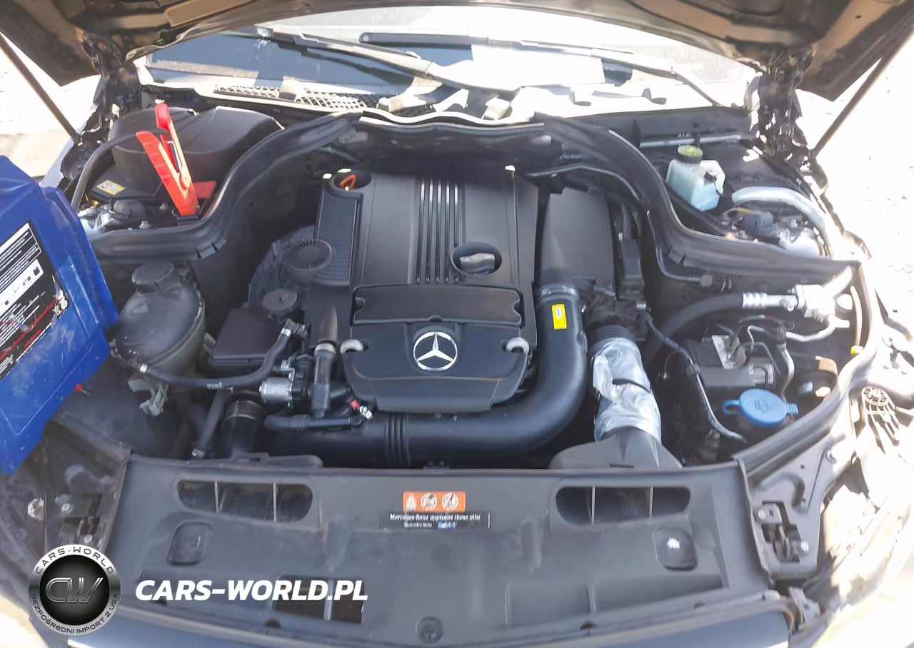 2015 Mercedes-Benz C 250 VIN:WDDGJ4HBXFG369429 - 10
