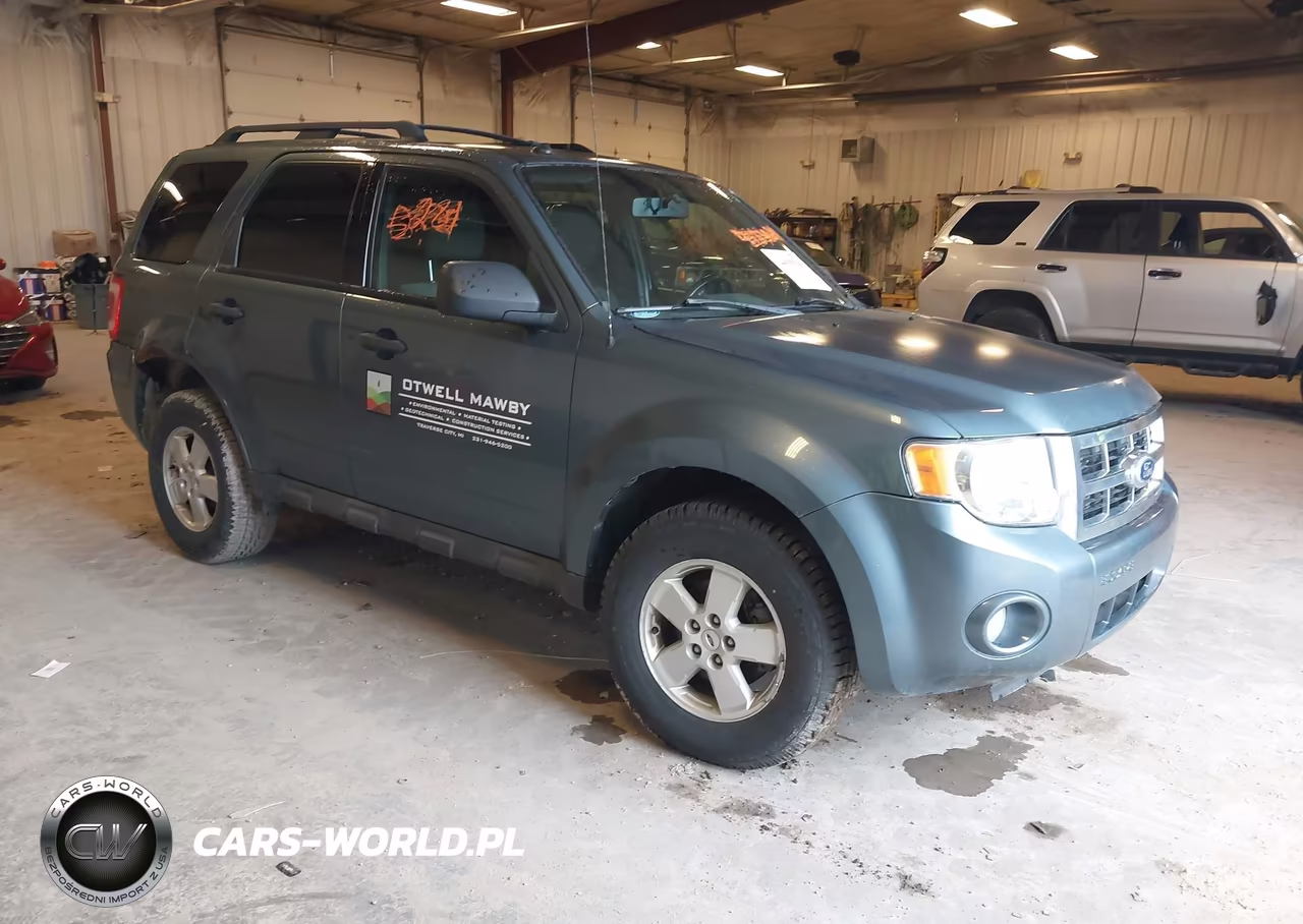 2010 Ford Escape Xlt