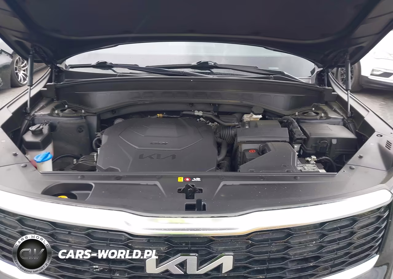 2022 Kia Telluride Ex VIN:5XYP34HC3NG255836 - 10