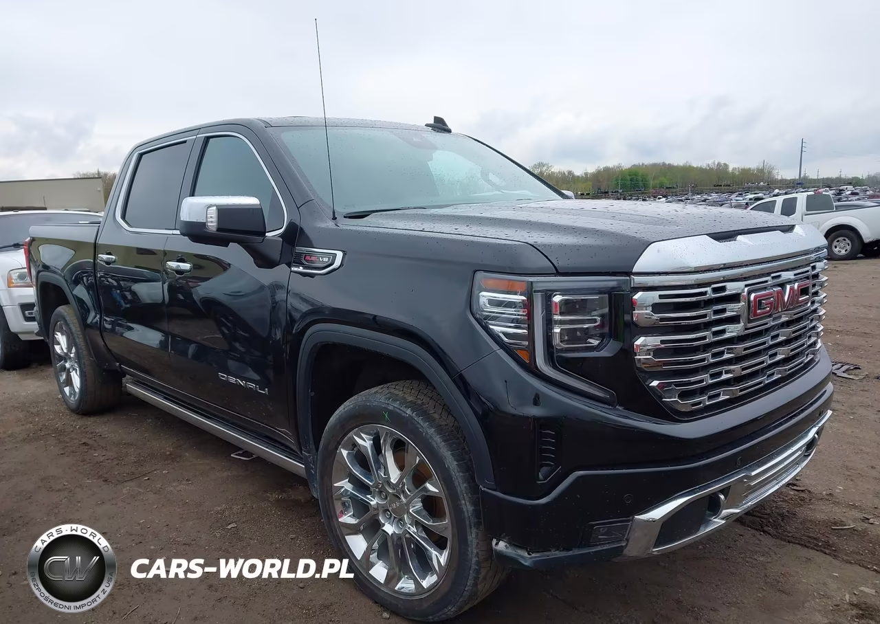 2023 GMC Sierra 1500 4Wd Short Box Denali VIN:3GTUUGEL3PG153589 - 13