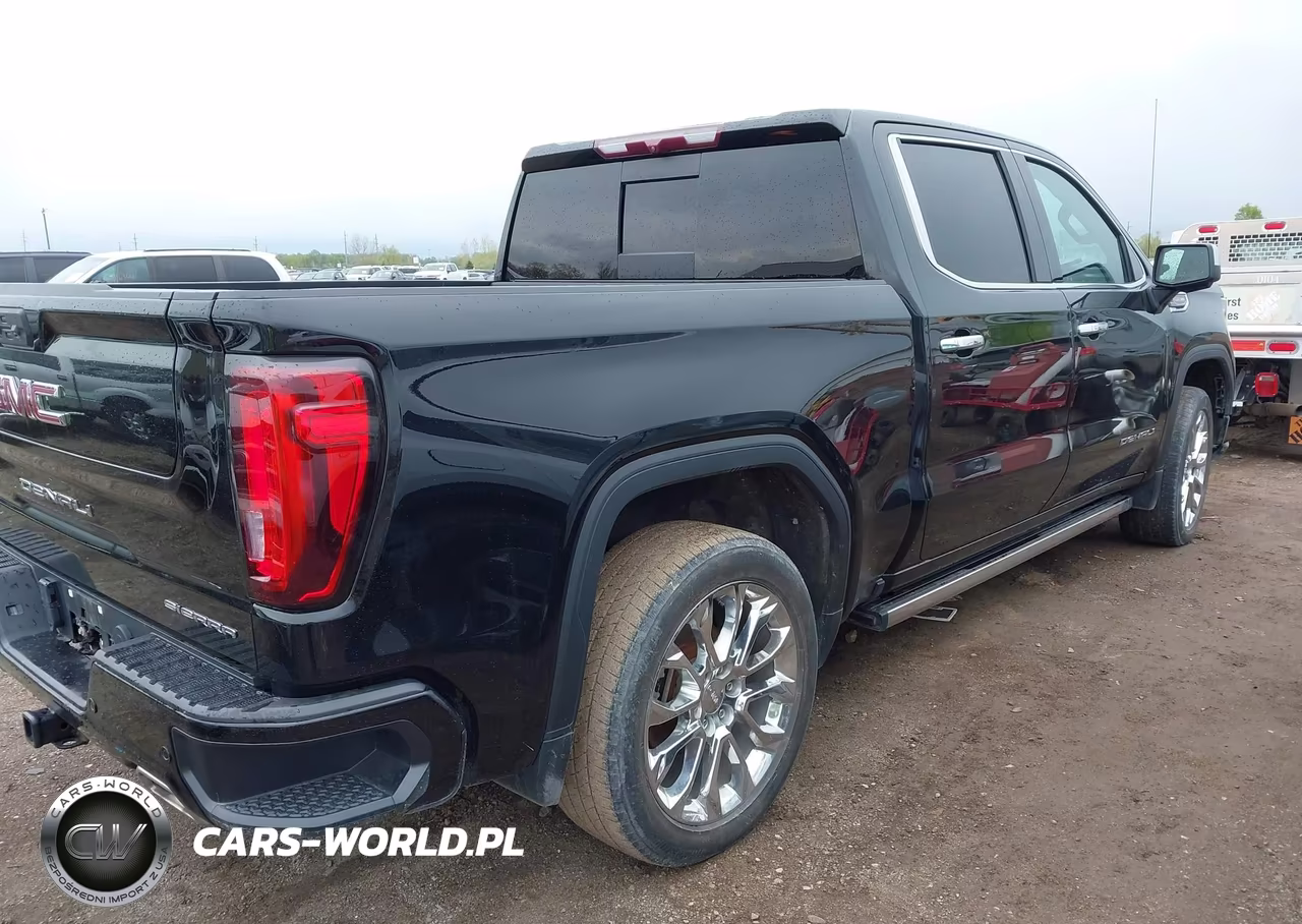 2023 GMC Sierra 1500 4Wd Short Box Denali VIN:3GTUUGEL3PG153589 - 4