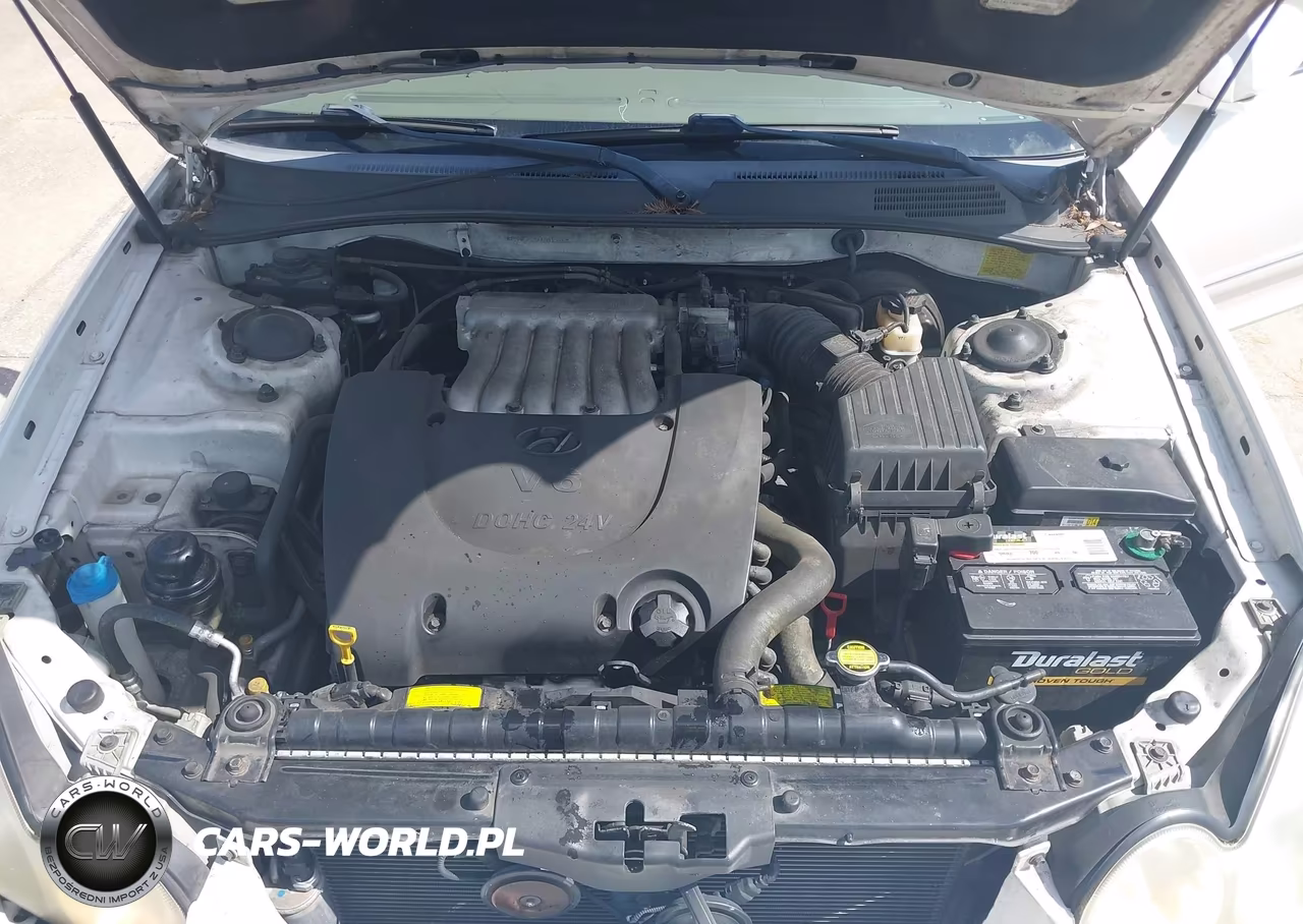2004 Hyundai Sonata Gls-Lx VIN:KMHWF35HX4A913160 - 10