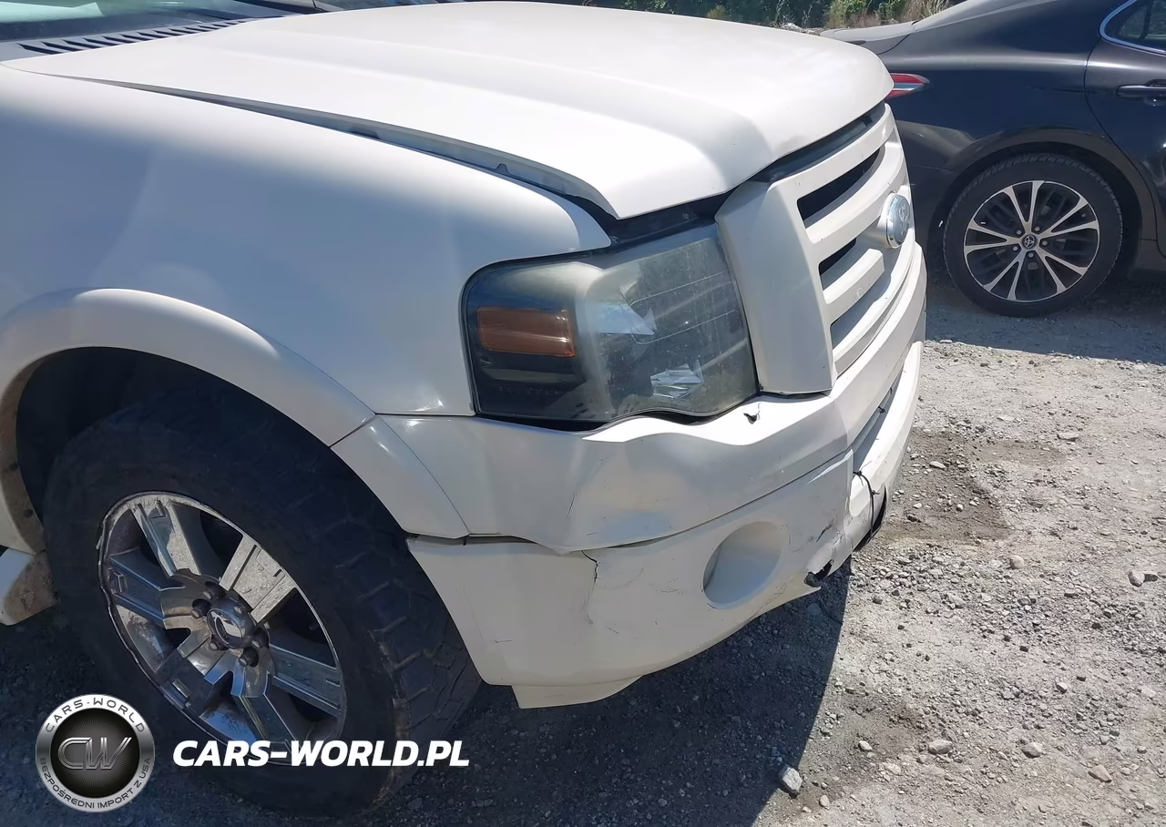 2008 Ford Expedition Limited VIN:1FMFU195X8LA46850 - 12