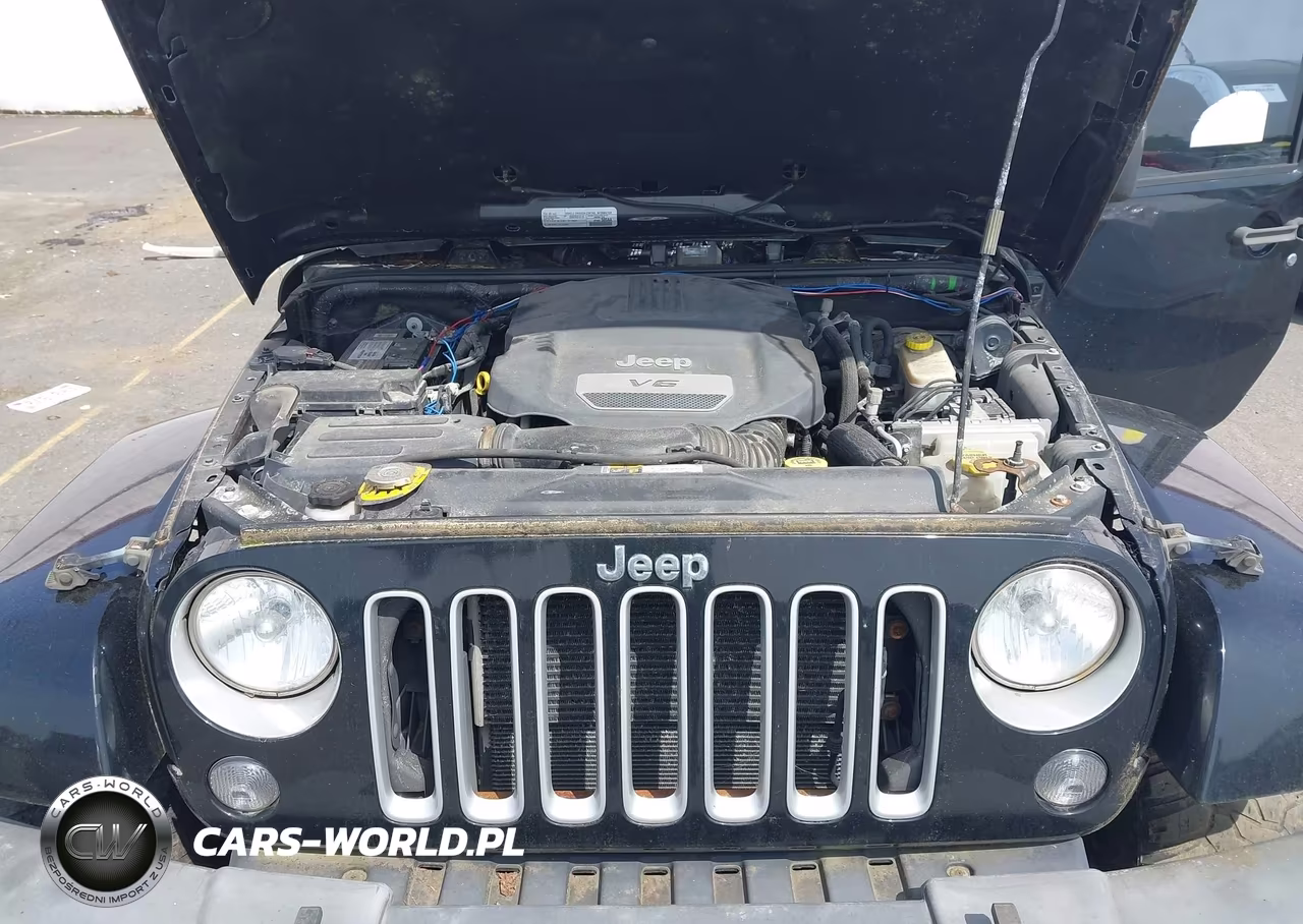 2016 Jeep Wrangler Unlimited Sahara VIN:1C4BJWEG9GL321669 - 10