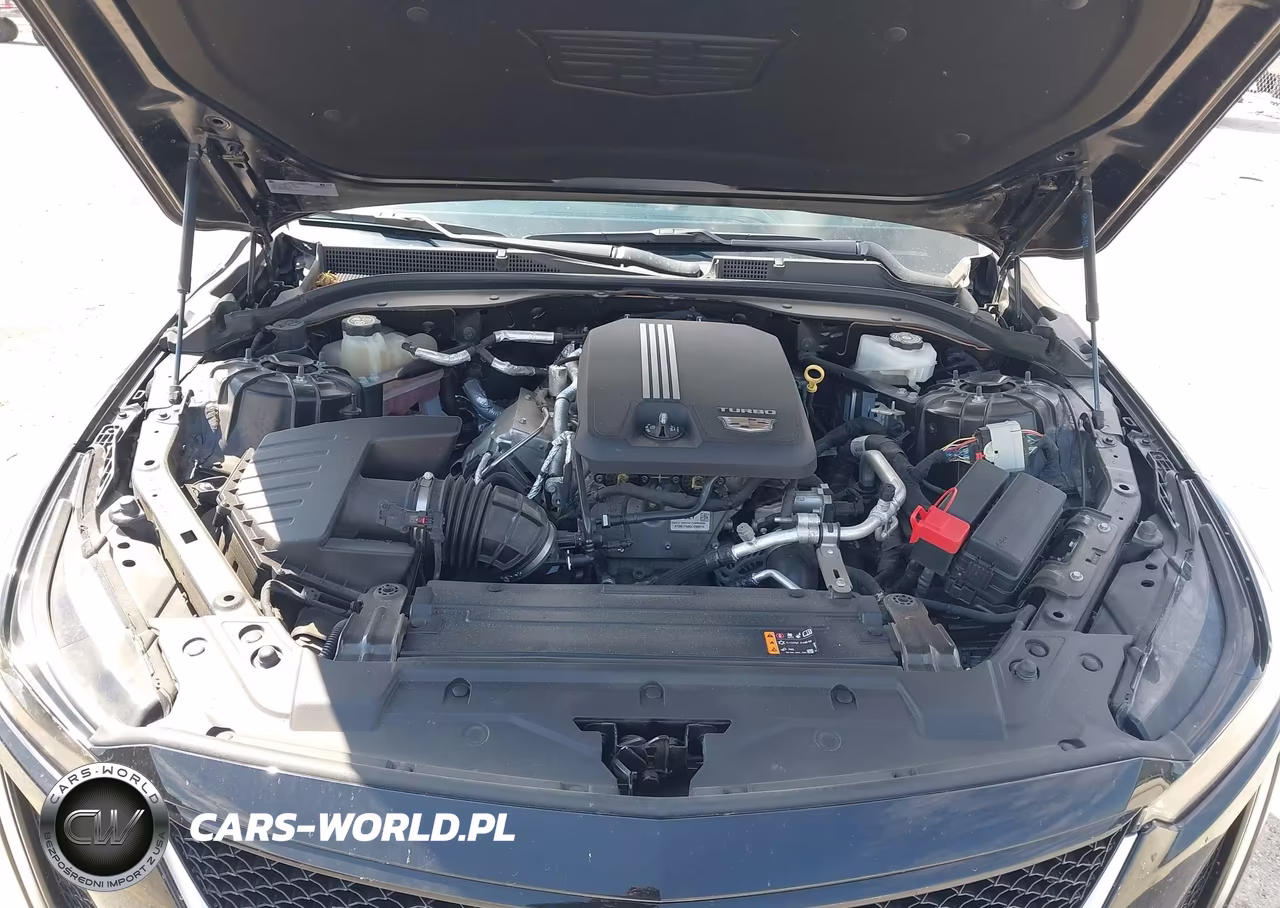 2020 Cadillac Ct5 Sport VIN:1G6DU5RK7L0146734 - 10