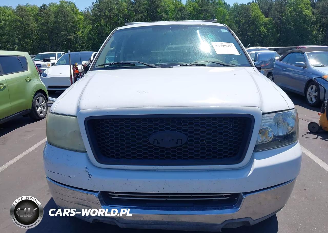 2004 Ford F-150 Stx-Xl-Xlt VIN:1FTRX12W34NA52967 - 12