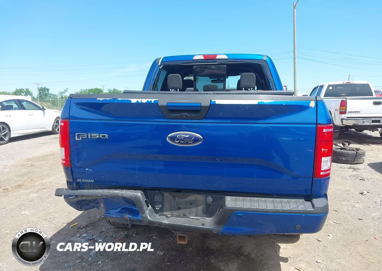 2017 Ford F-150 Xlt VIN:1FTEW1EP4HKC68856 - 16