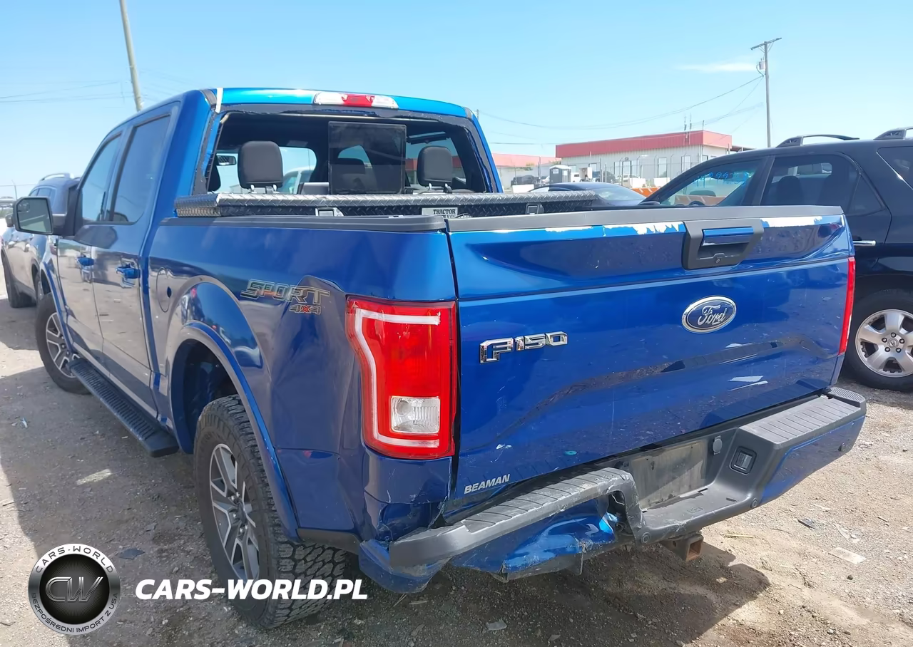 2017 Ford F-150 Xlt VIN:1FTEW1EP4HKC68856 - 6