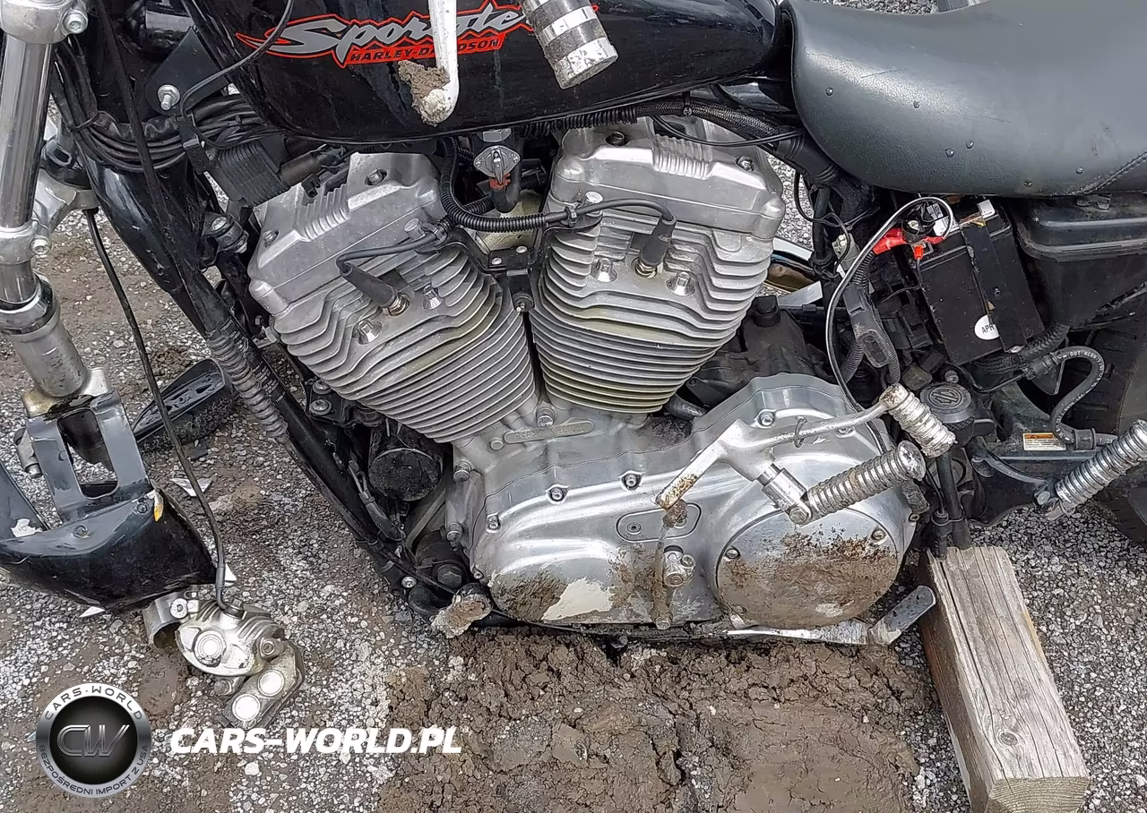 2004 Harley-Davidson Xl883 VIN:1HD4CAM114K418710 - 9