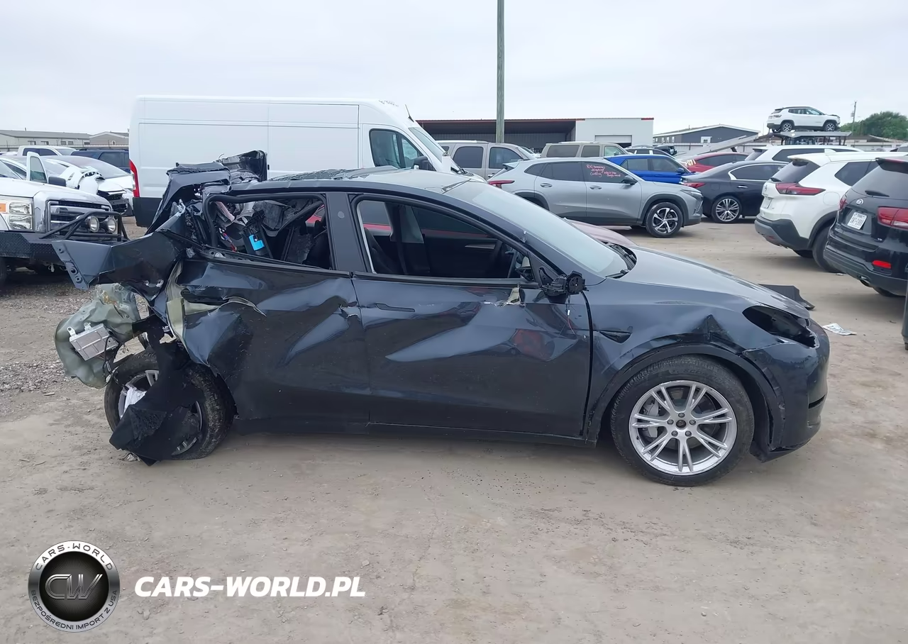 2024 Tesla Model Y Long Range Dual Motor All-Wheel Drive VIN:7SAYGDEEXRA226278 - 12