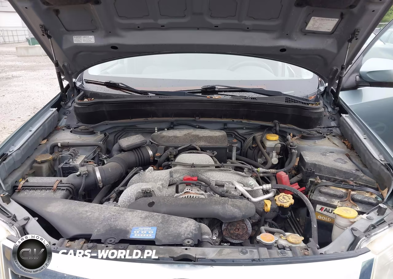 2010 Subaru Forester 2.5X Premium VIN:JF2SH6CC6AH758522 - 10