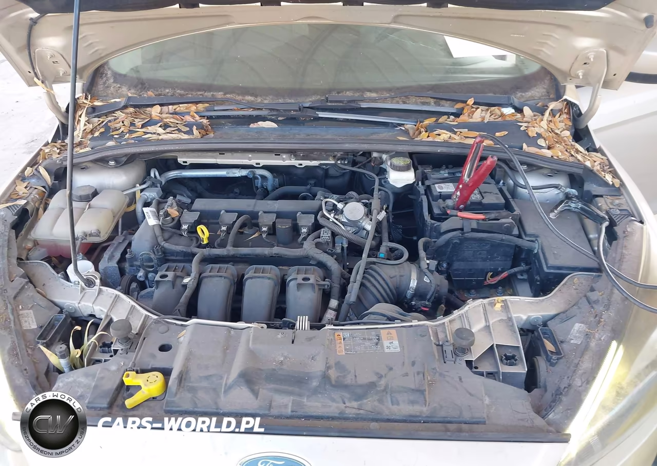 2018 Ford Focus Se VIN:1FADP3F28JL266007 - 10