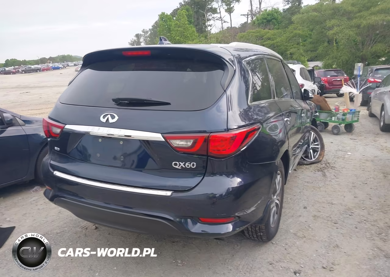 2020 Infiniti Qx60 Luxe Awd VIN:5N1DL0MM8LC502503 - 4