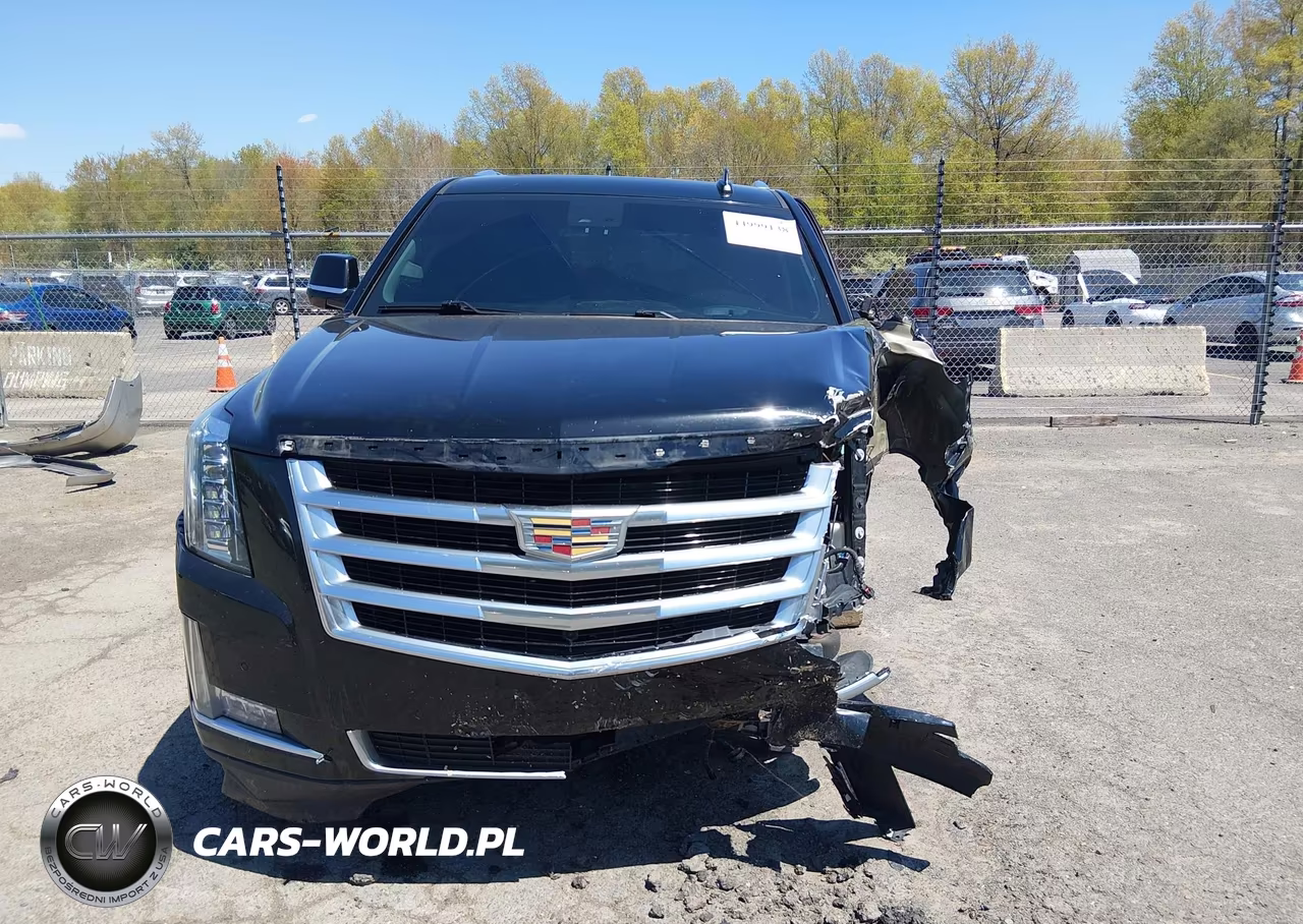 2017 Cadillac Escalade Luxury VIN:1GYS4BKJ8HR338780 - 12