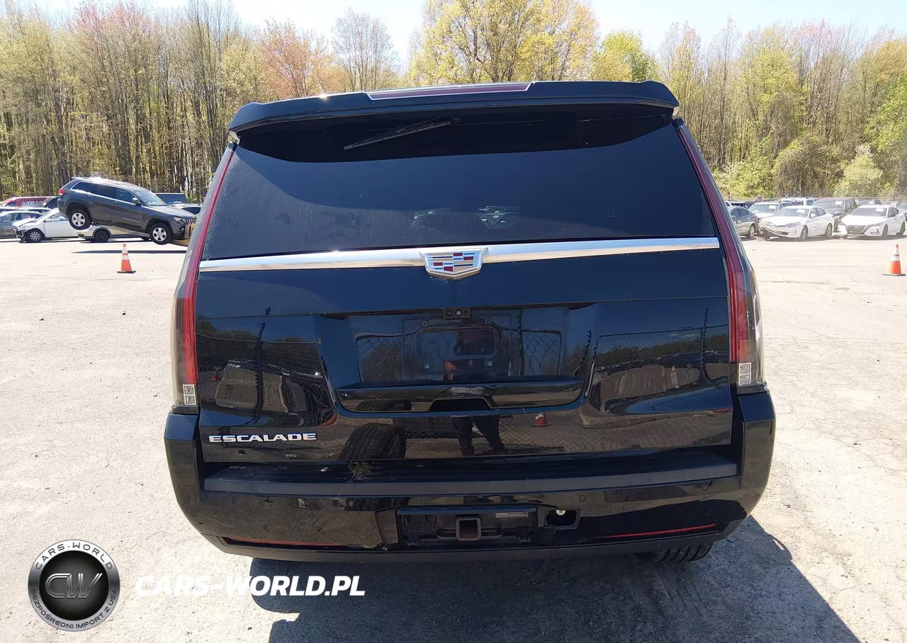 2017 Cadillac Escalade Luxury VIN:1GYS4BKJ8HR338780 - 16