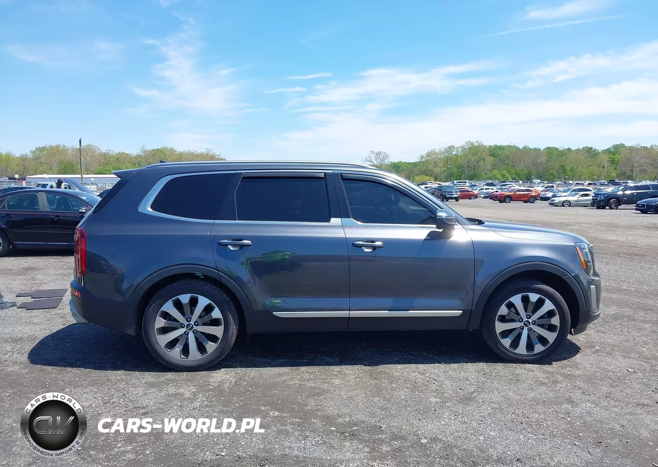 2020 Kia Telluride S VIN:5XYP64HC2LG048035 - 13