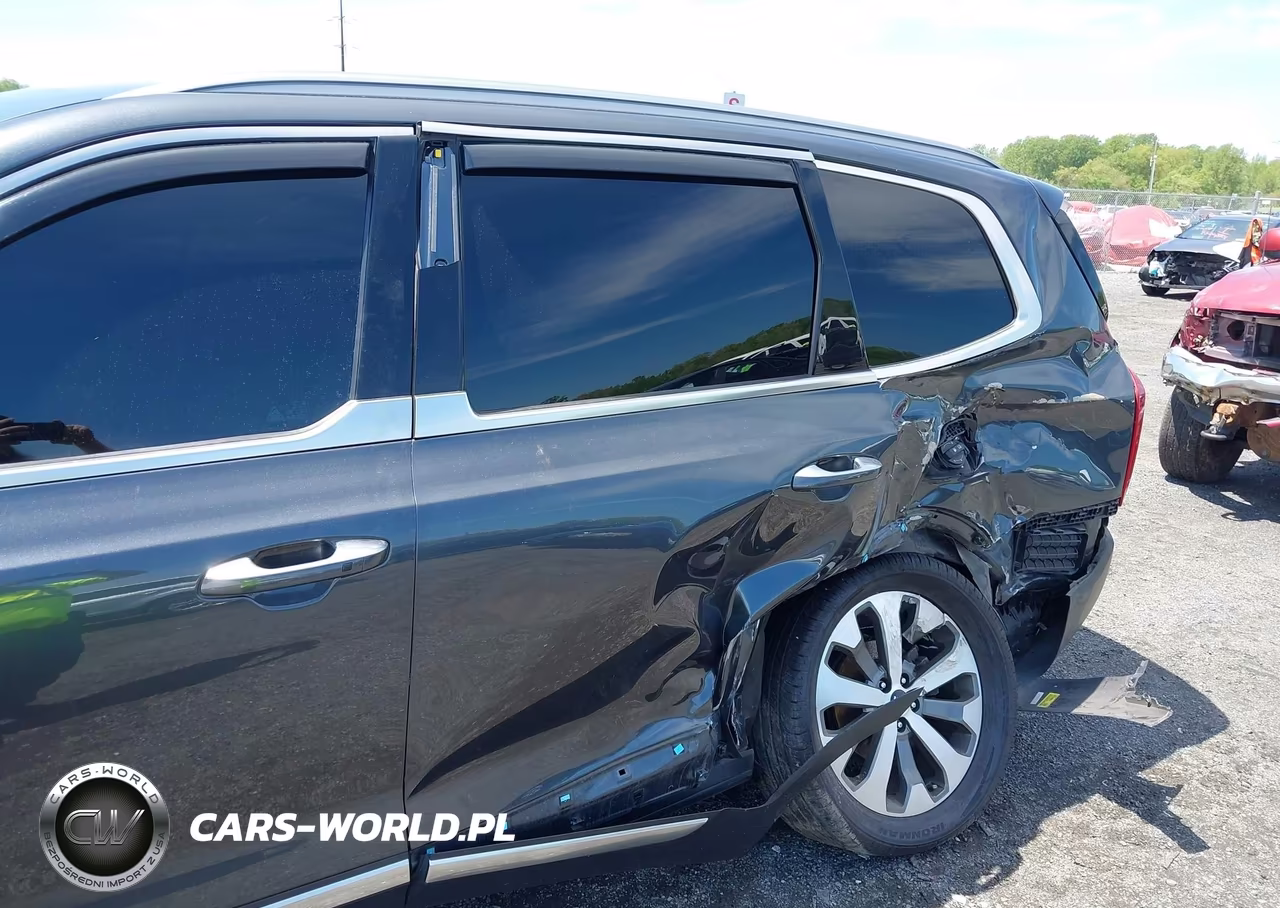 2020 Kia Telluride S VIN:5XYP64HC2LG048035 - 6