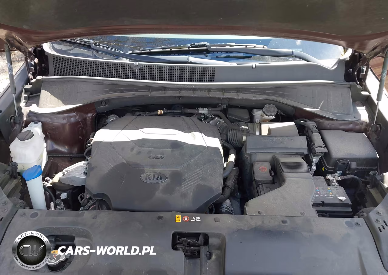 2020 Kia Sorento 3.3L Sx VIN:5XYPKDA56LG661699 - 10