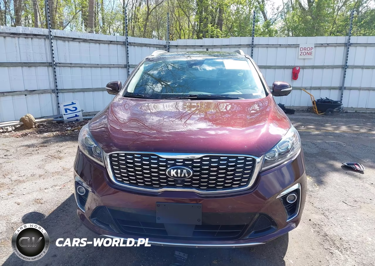 2020 Kia Sorento 3.3L Sx VIN:5XYPKDA56LG661699 - 12