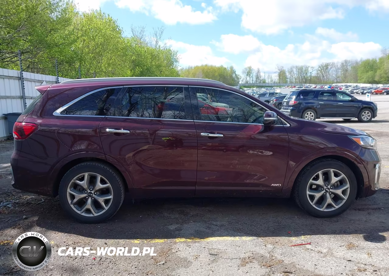 2020 Kia Sorento 3.3L Sx VIN:5XYPKDA56LG661699 - 13