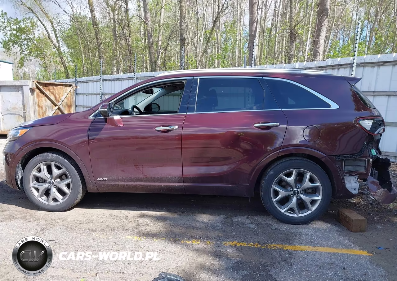 2020 Kia Sorento 3.3L Sx VIN:5XYPKDA56LG661699 - 14