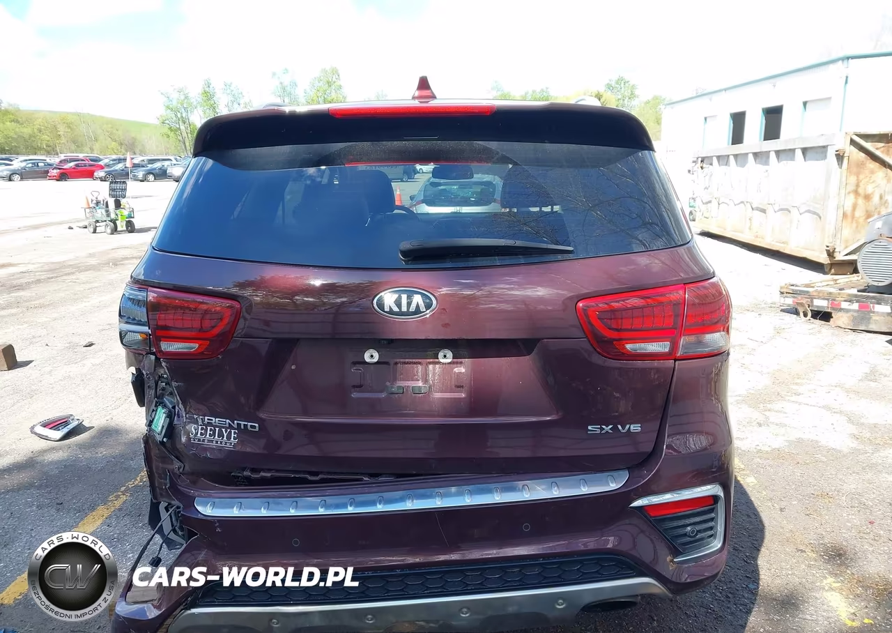 2020 Kia Sorento 3.3L Sx VIN:5XYPKDA56LG661699 - 16