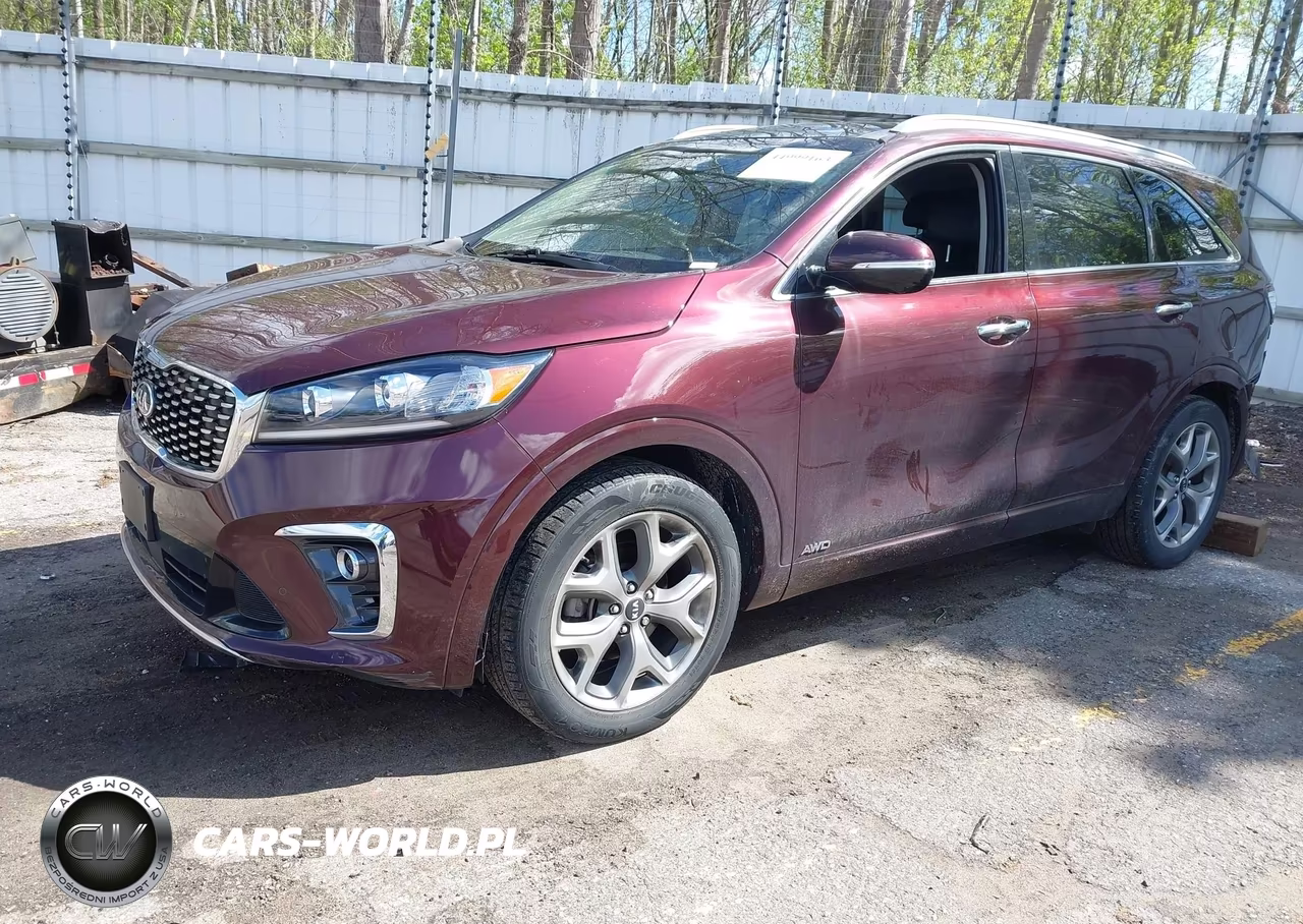 2020 Kia Sorento 3.3L Sx VIN:5XYPKDA56LG661699 - 2