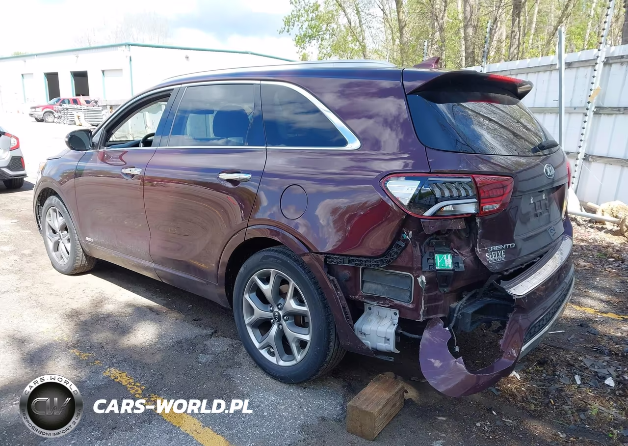 2020 Kia Sorento 3.3L Sx VIN:5XYPKDA56LG661699 - 3