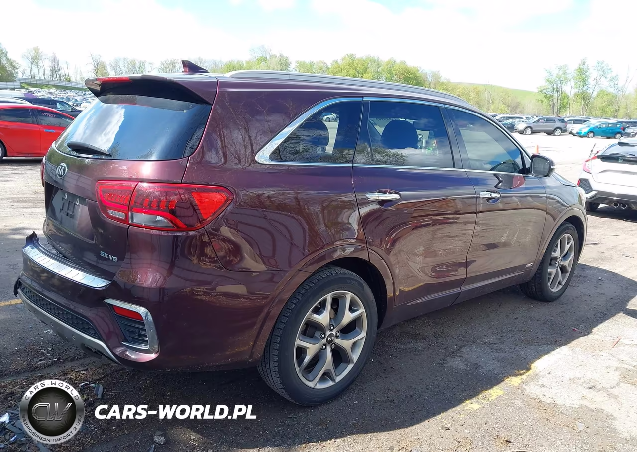 2020 Kia Sorento 3.3L Sx VIN:5XYPKDA56LG661699 - 4