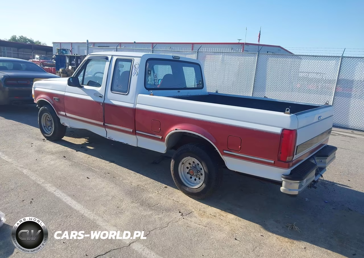 1992 Ford F150 VIN:1FTEX15NXNKB24154 - 3