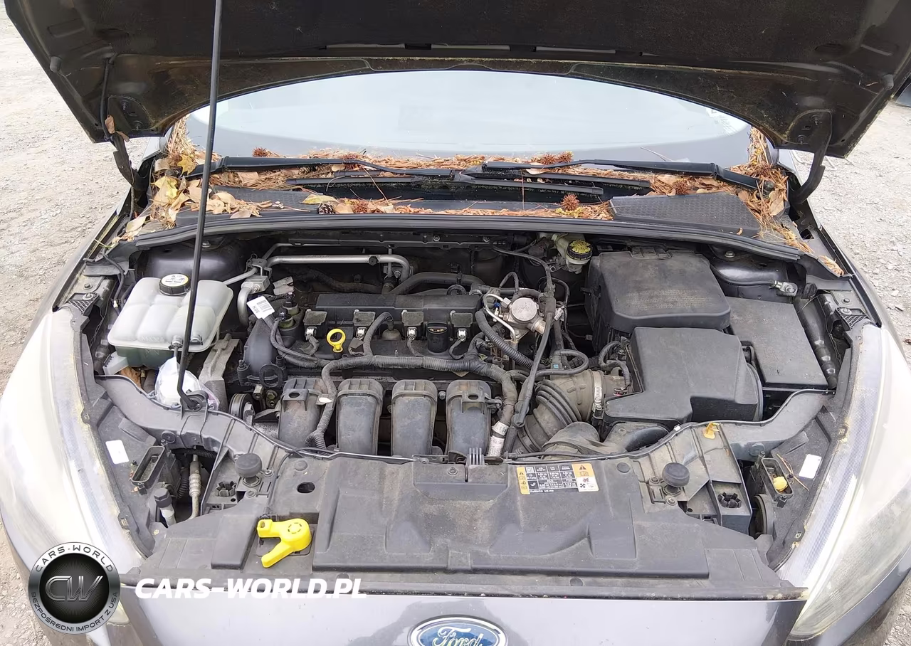 2016 Ford Focus Se VIN:1FADP3K25GL332902 - 10