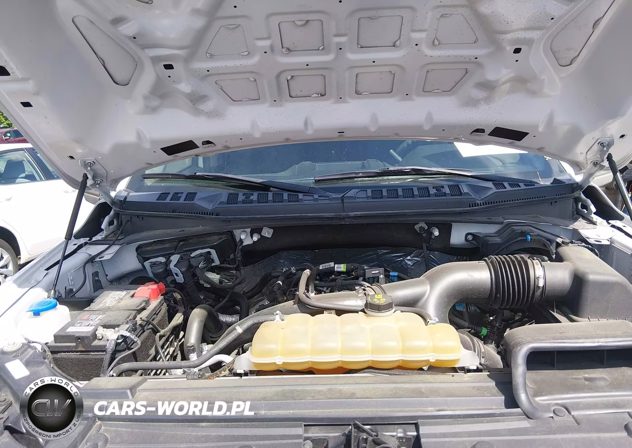 2020 Ford F-150 Xl VIN:1FTEW1EP0LFC38044 - 10