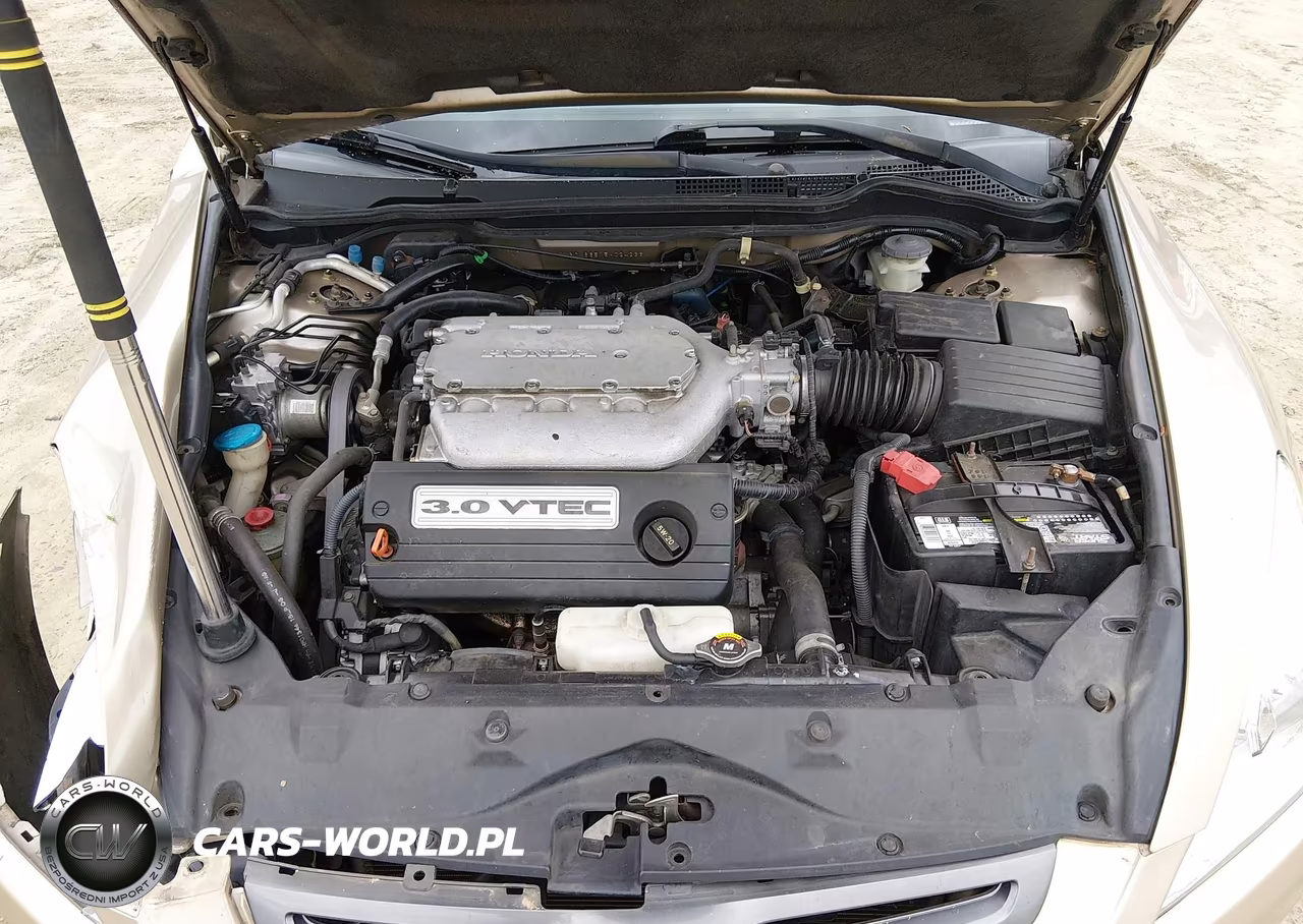 2005 Honda Accord 3.0 Ex VIN:1HGCM66515A024236 - 10