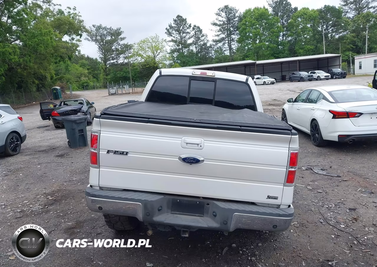 2010 Ford F-150 Fx4-Harley-Davidson-King Ranch-Lariat-Platinum-Xl-Xlt VIN:1FTFW1EV0AFB36727 - 17