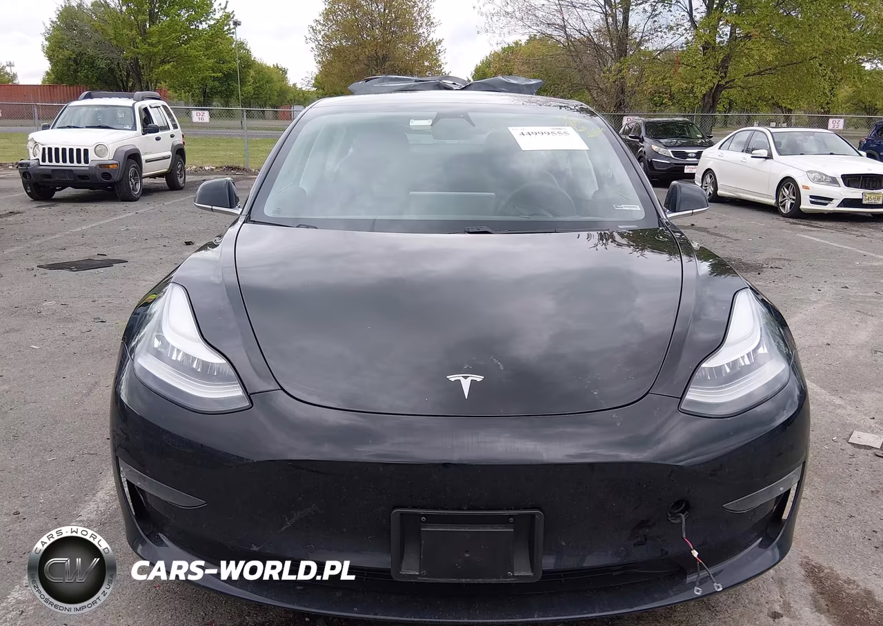 2020 Tesla Model 3 Long Range Dual Motor All-Wheel Drive VIN:5YJ3E1EB1LF711355 - 12
