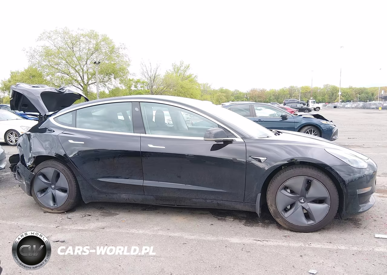 2020 Tesla Model 3 Long Range Dual Motor All-Wheel Drive VIN:5YJ3E1EB1LF711355 - 13