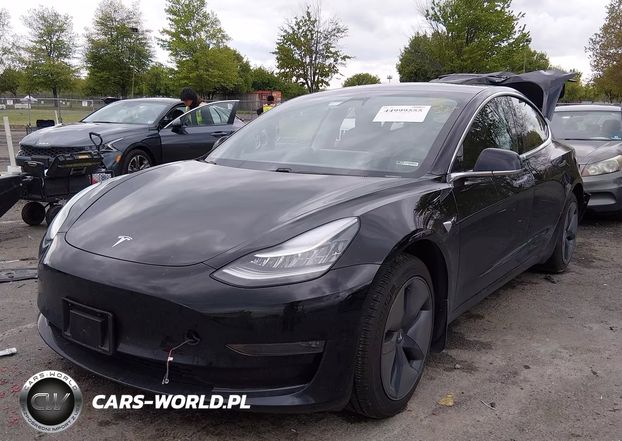 2020 Tesla Model 3 Long Range Dual Motor All-Wheel Drive VIN:5YJ3E1EB1LF711355 - 2