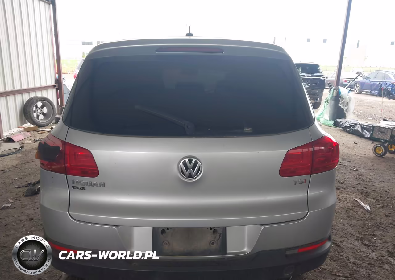 2017 Volkswagen Tiguan 2.0T-2.0T S VIN:WVGAV7AXXHK050863 - 16