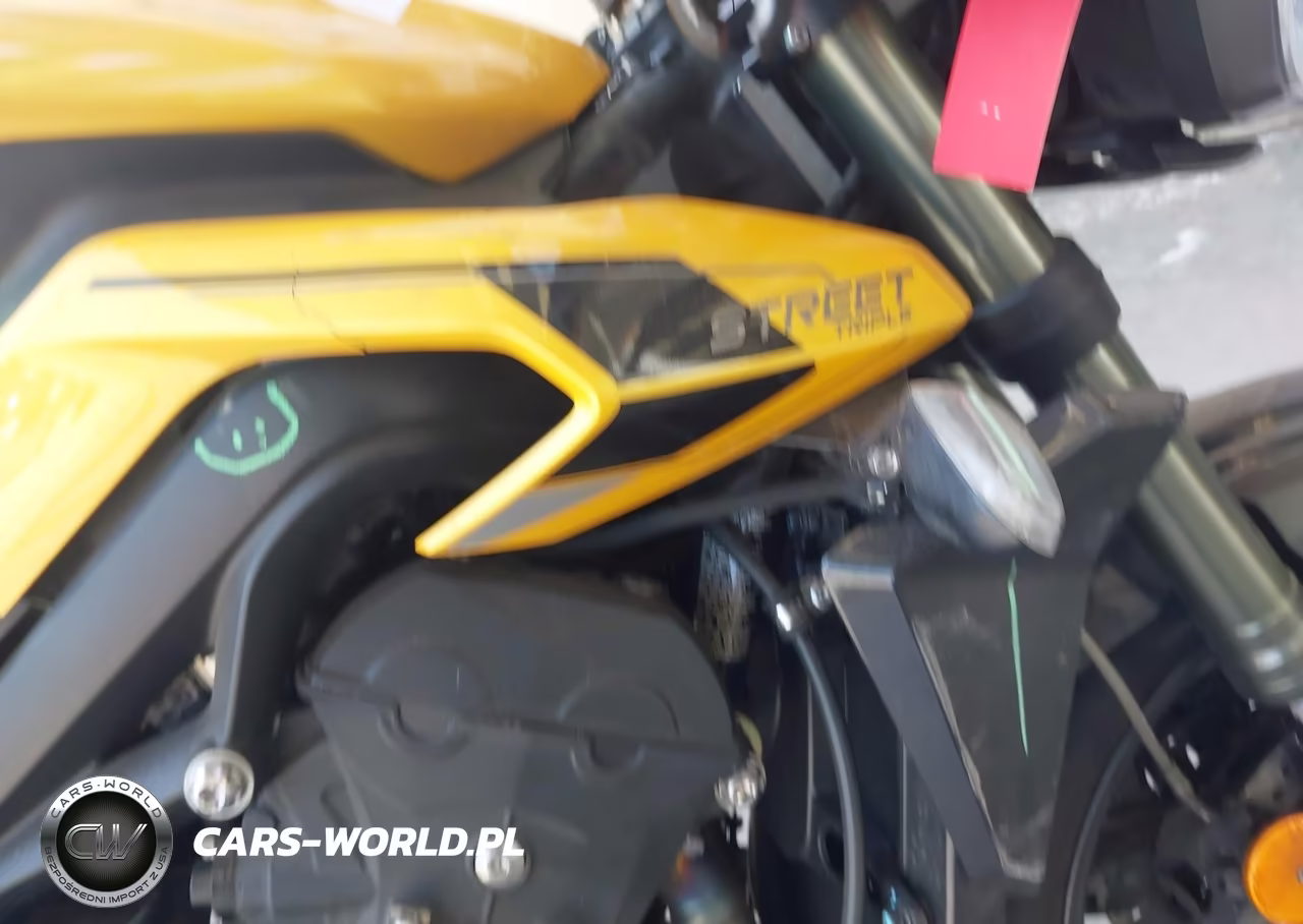 2025 Triumph Motorcycle Street Triple 765 Rs VIN:SMTA614KXSTCB7058 - 17