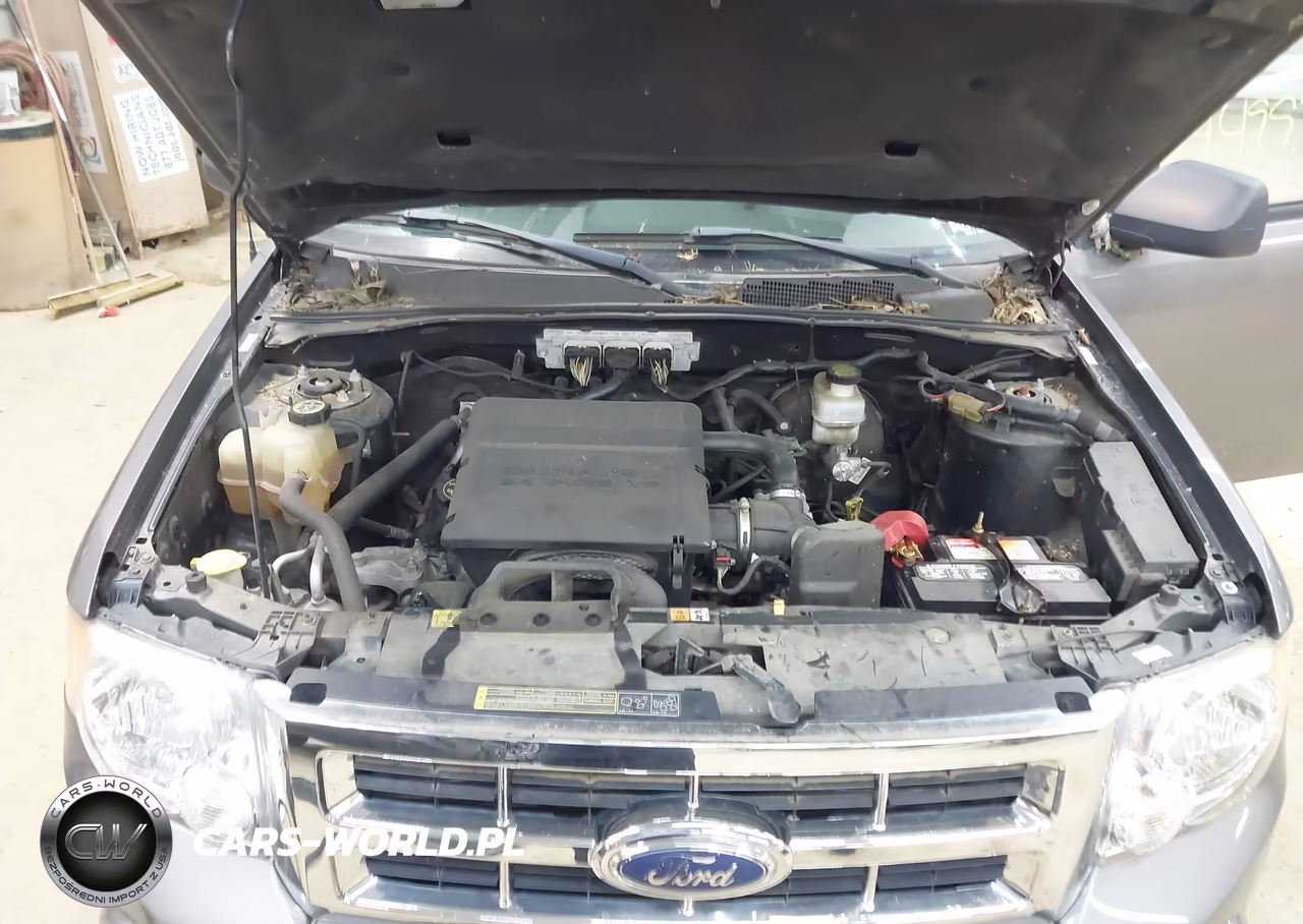 2009 Ford Escape Xlt VIN:1FMCU93G19KB63493 - 10