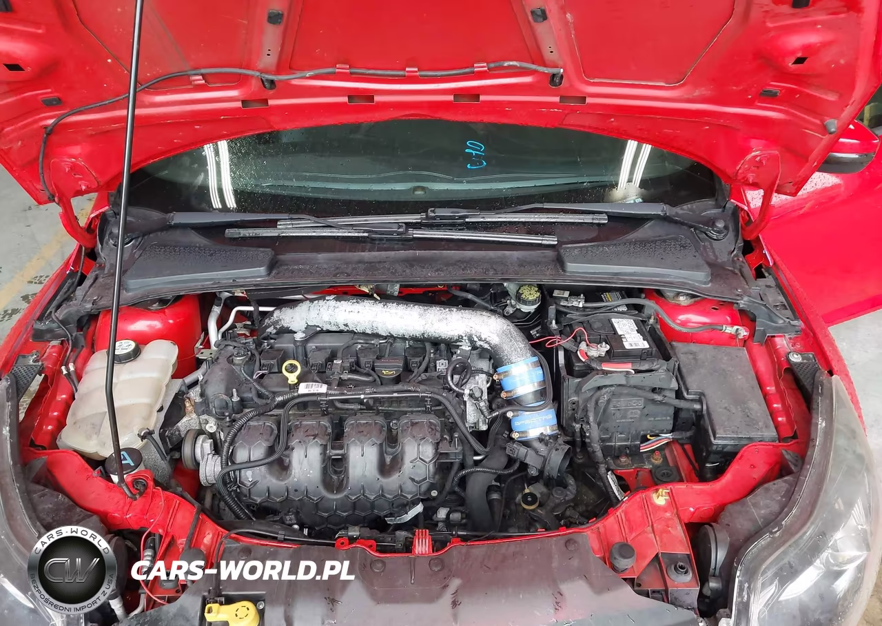 2013 Ford Focus St VIN:1FADP3L97DL169340 - 10