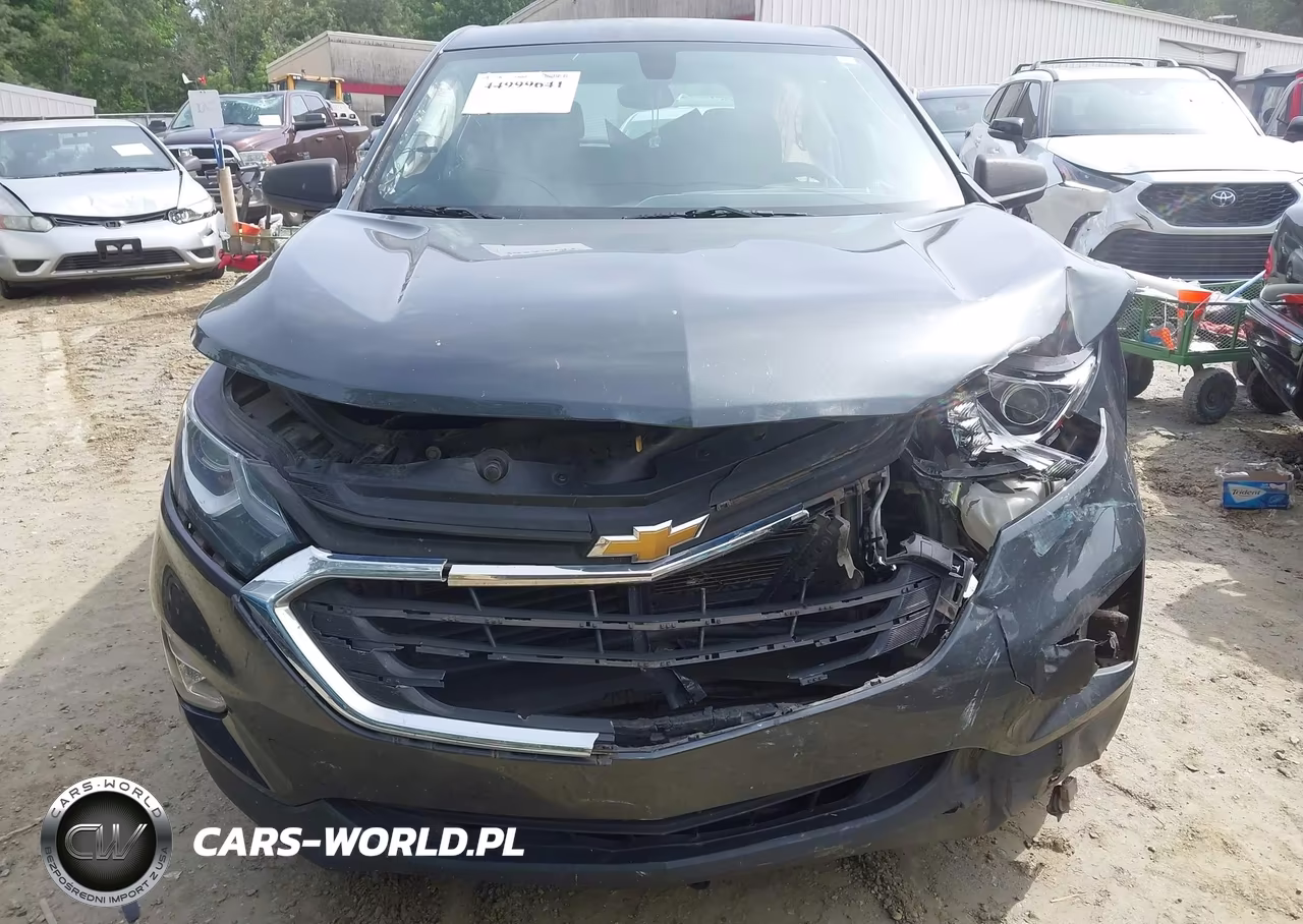 2019 Chevrolet Equinox Ls VIN:3GNAXHEV3KS534888 - 12