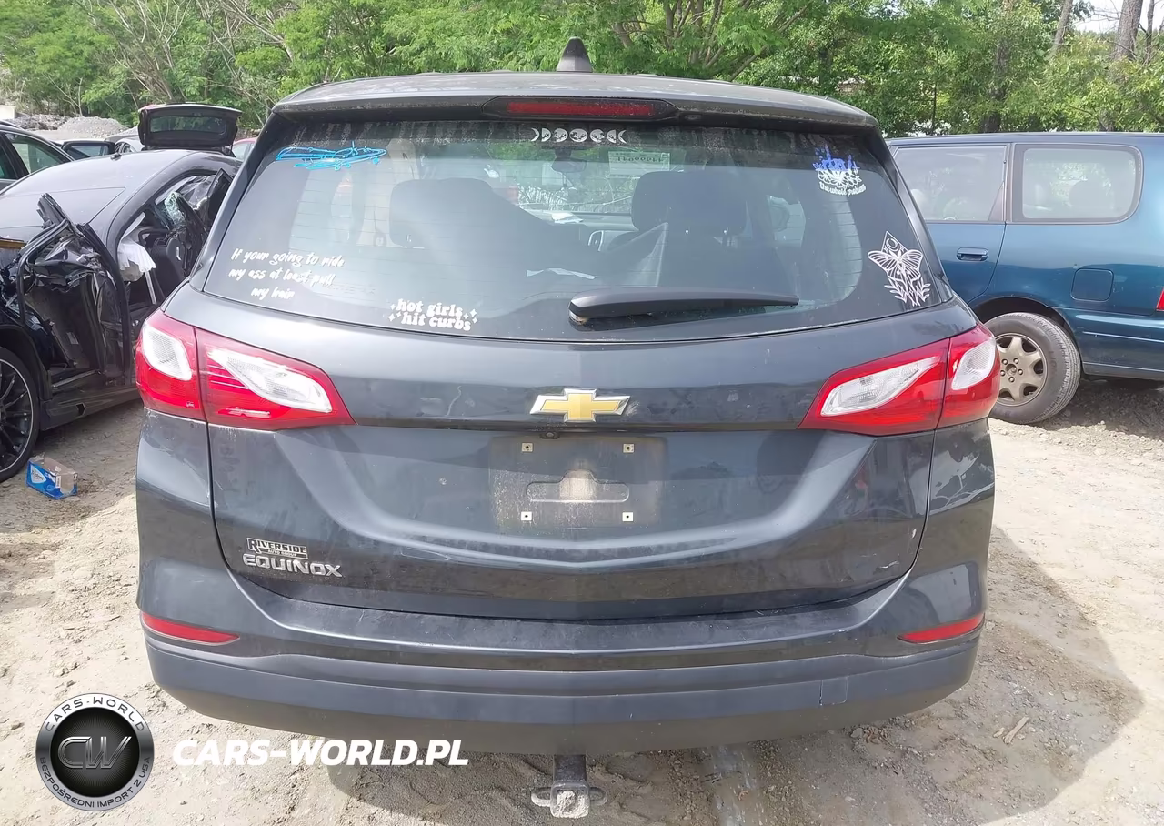 2019 Chevrolet Equinox Ls VIN:3GNAXHEV3KS534888 - 16