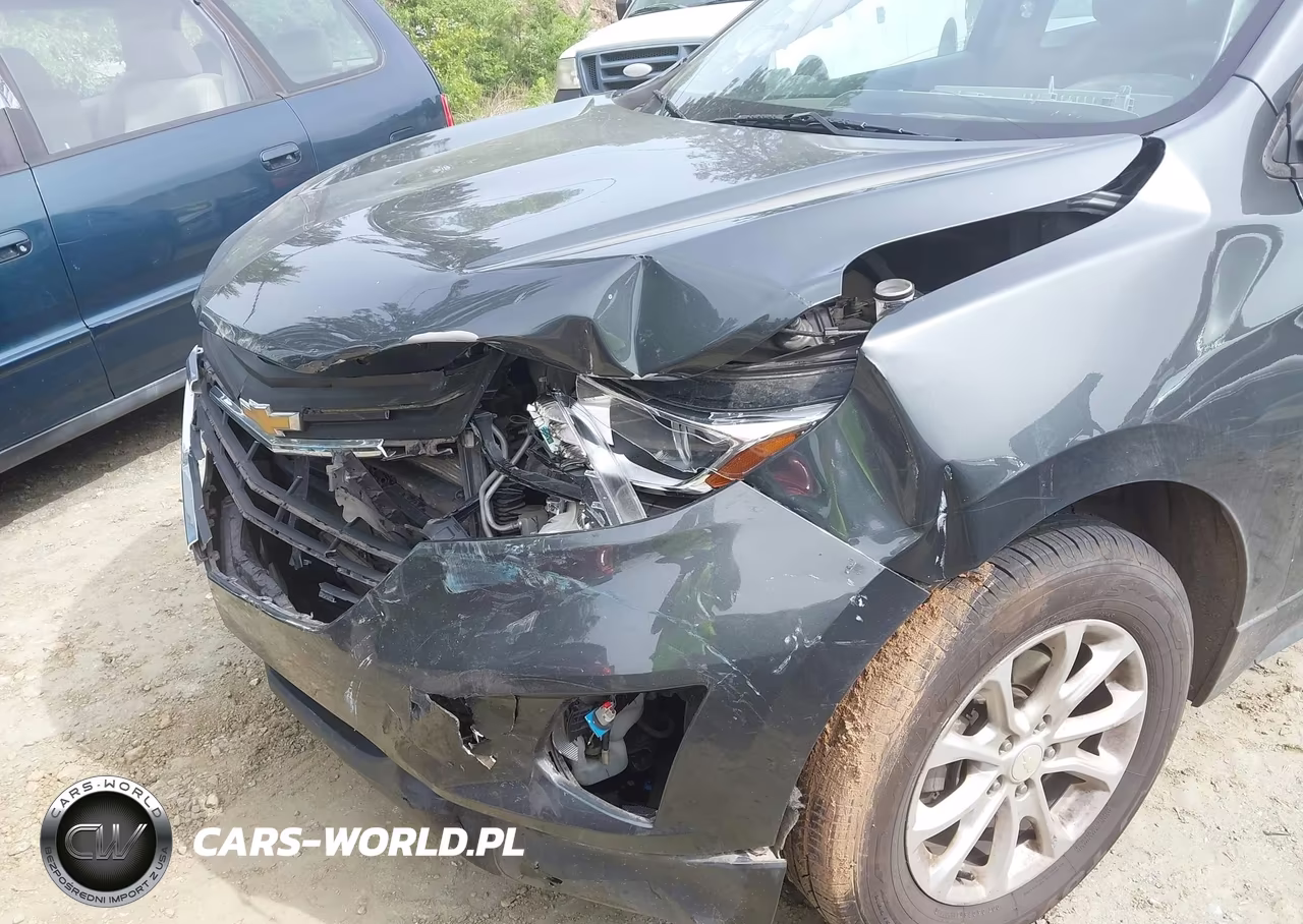 2019 Chevrolet Equinox Ls VIN:3GNAXHEV3KS534888 - 6