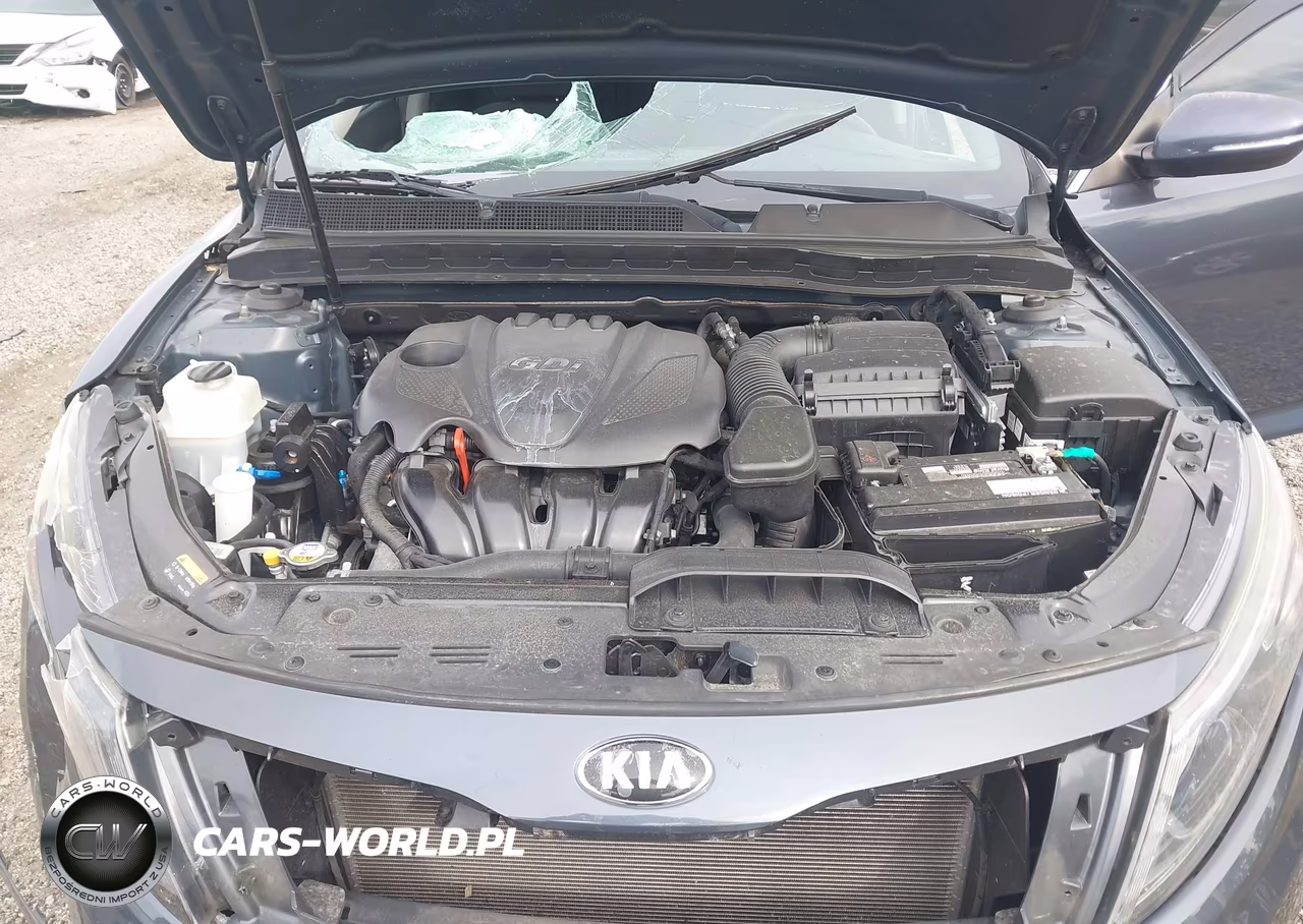2015 Kia Optima Lx VIN:KNAGM4A76F5614033 - 10