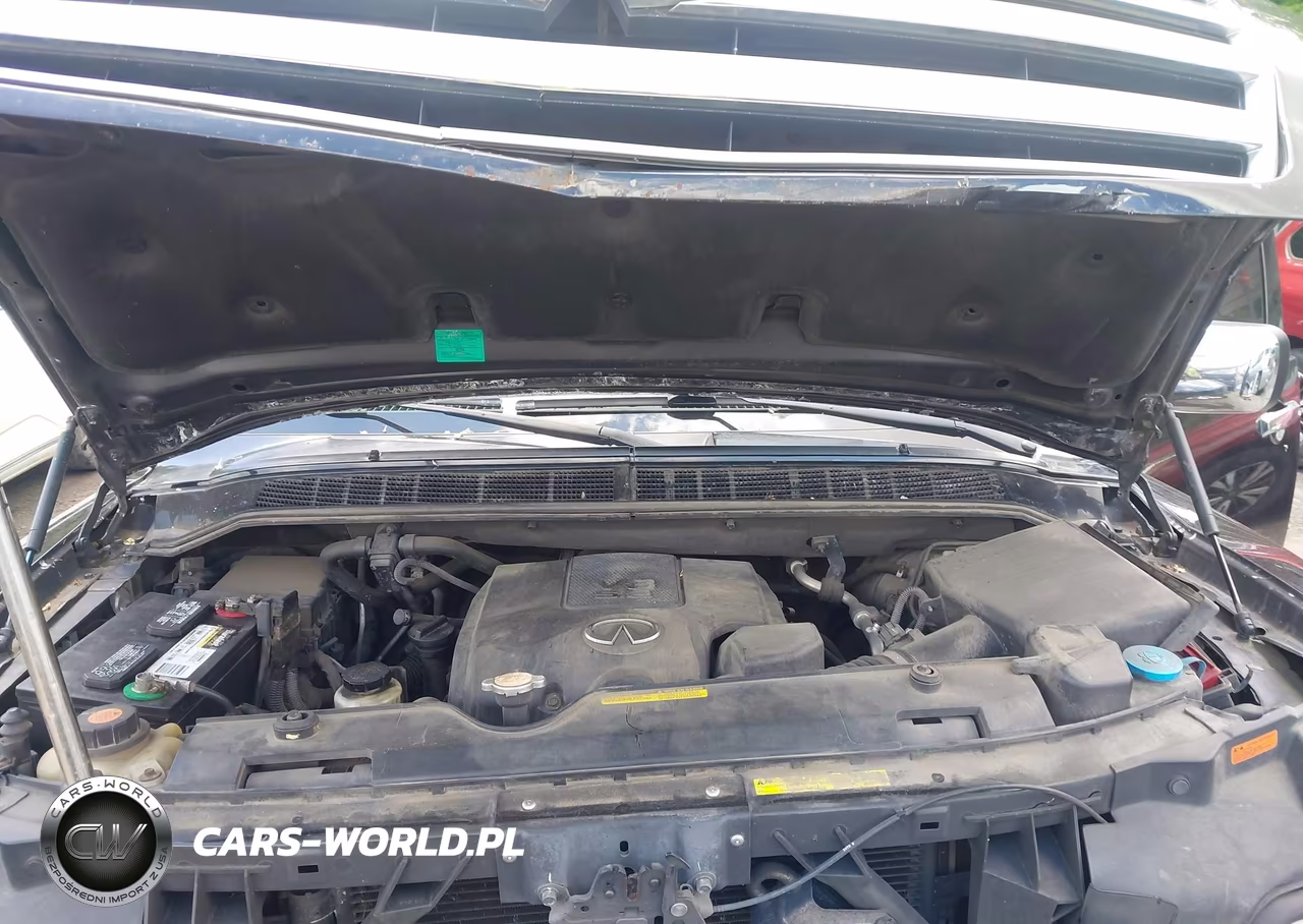 2007 Infiniti Qx56 VIN:5N3AA08C97N804569 - 10