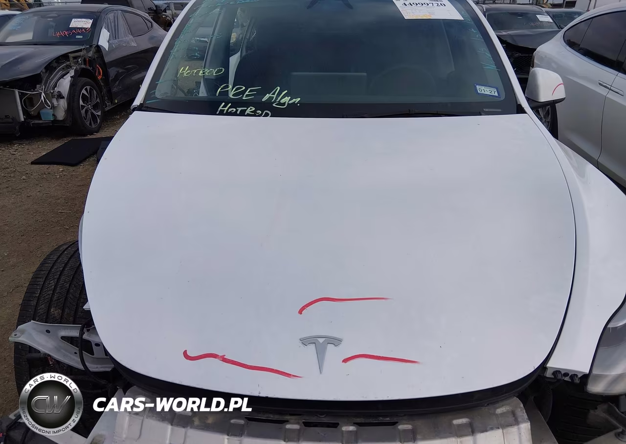 2024 Tesla Model Y Long Range Dual Motor All-Wheel Drive VIN:7SAYGDEE4RA219018 - 10